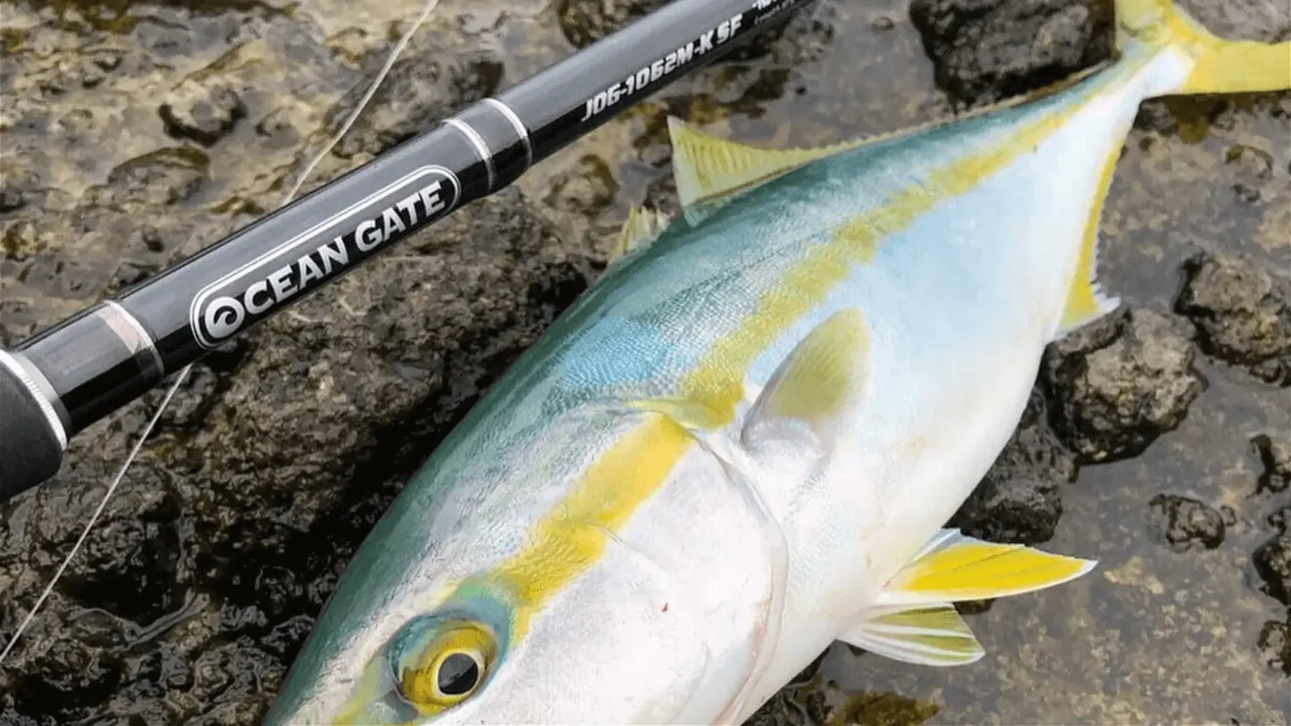 Jackson - Surf Casting Rod - OCEAN GATE JOG-1062M-K SF